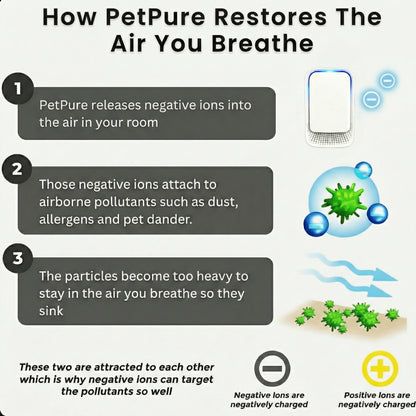 Ion Air Purifier
